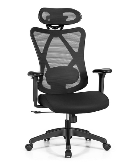 Giantex Ergonomic Office Chair with Adjustable Lumbar Support