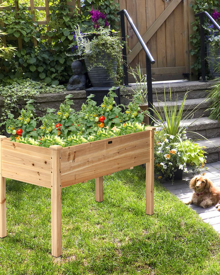 Raised Garden Bed with Legs, 49" L x 23" W x 30" H