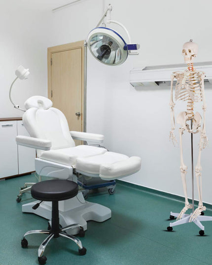 Life Size 70.8" Human Anatomical Anatomy Skeleton Medical Model  Stand - Giantex