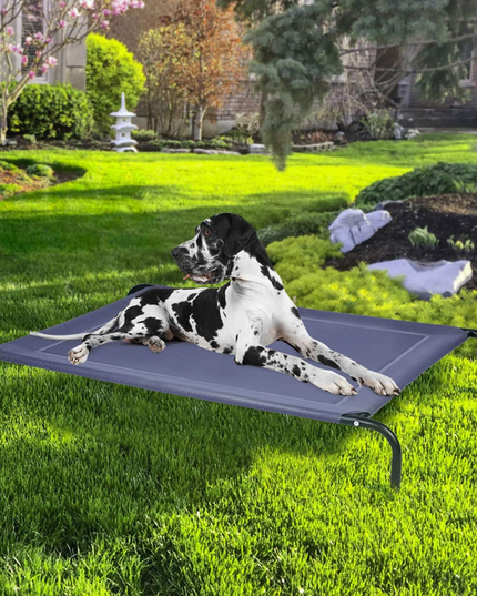 Giantex Elevated Pet Bed for Medium Large Dogs, Keep Pets Cool