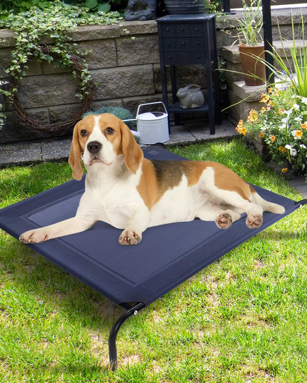 Giantex Elevated Pet Bed for Medium Large Dogs, Keep Pets Cool