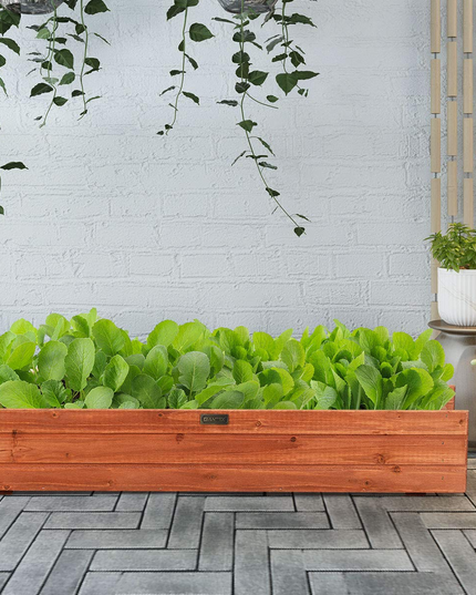 Raised Garden Bed Flower or Vegetable Planter (36" L X 7" W X 6" H)