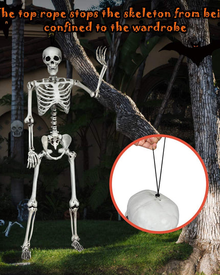 5.4 Ft Halloween Skeleton, Life Size Realistic Human Bones