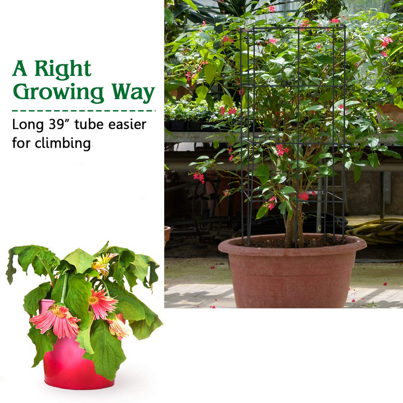 Giantex Pack of 4/8 Plant Cage Support, Tomato Stakes and Cages (16''Lx 16''Wx 39''H)