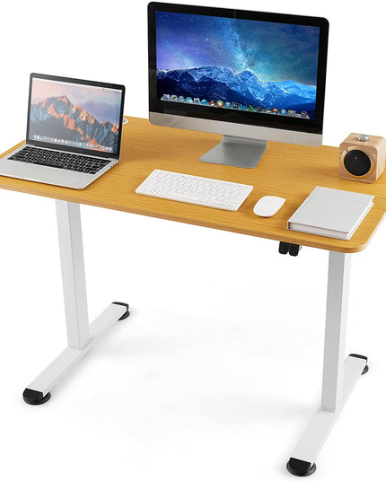 Giantex Electric Standing Desk