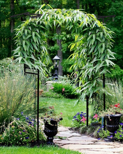 Giantex Metal Garden Arch, Wedding Arbor for Ceremony, Pergola Arbor Garden Trellis for Various Climbing Plant