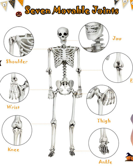 5.4 Ft Halloween Skeleton, Life Size Realistic Human Bones