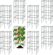Pack of 8