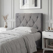 Gris