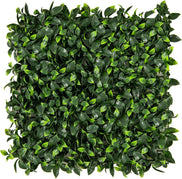 Gardenia Leaves