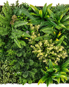 Green Ferns