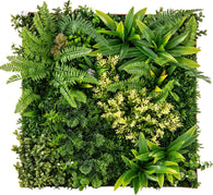 Green Ferns