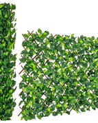 Green Ivy