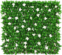 1 / Green Leaves & White Flowers