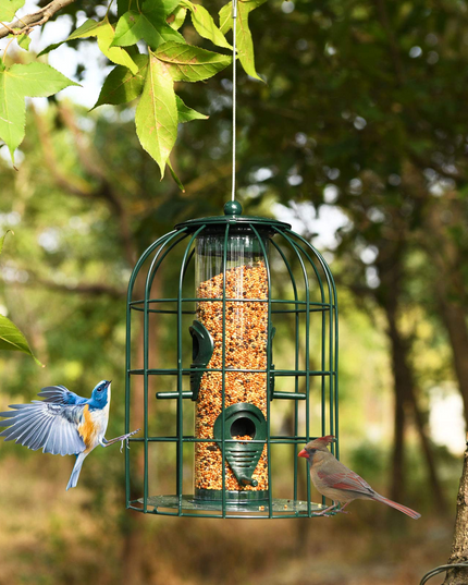 Giantex Metal Hanging Bird Feeder, Outdoor Squirrel-Proof Bird Feeder Cage with 4 Feeding Ports, Transparent PC Tube