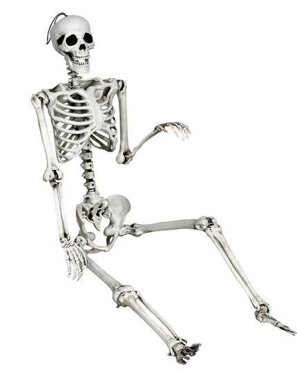 5.4 Ft Halloween Skeleton, Life Size Realistic Human Bones