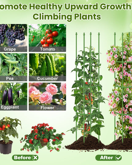Giantex 2-Pack Tomato Cages