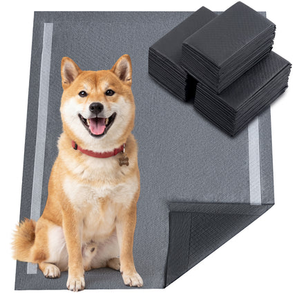 Collection image for: Alèses et bacs pour l'éducation canine