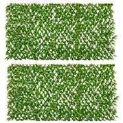 Eucalyptus vert / 2