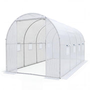White / without Watering System