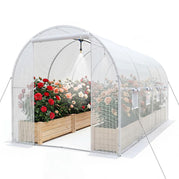 White / with Watering System