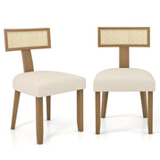 1 / Rattan Back