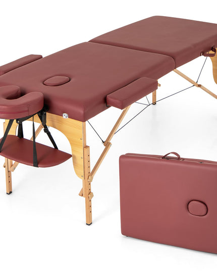 Giantex Massage Table, Portable Massage Bed w/Carrying Case, 2-Section Salon Spa Facial Care Tattoo Bed
