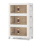 Storage Bins & Boxes