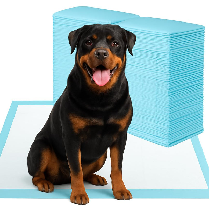 Giantex 90 x 60 cm Large Training Pads for Dogs for House Training