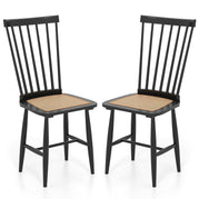 1 / Rubber Wood+PE Rattan