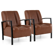2 / Brown
