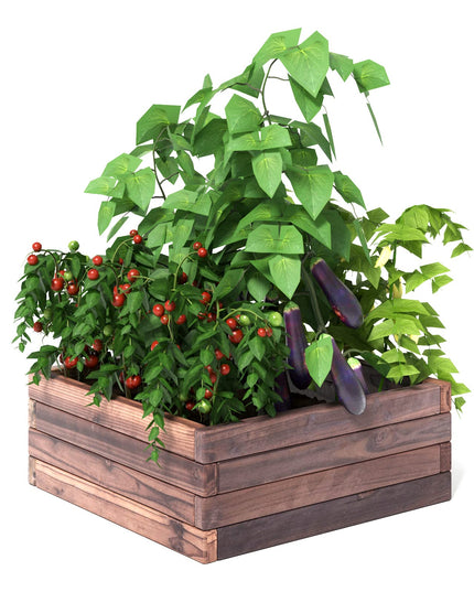 Brown Raised Garden Bed,  24'' L x 24'' W x 10''H