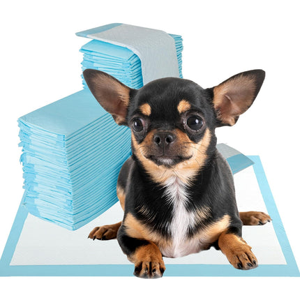 Collection image for: Dog & Cat Supplies