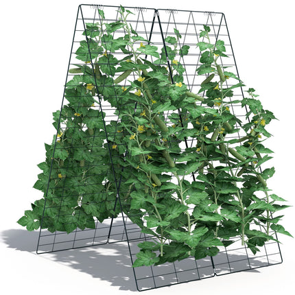 Collection image for: Garden Trellis