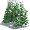 Garden Trellis