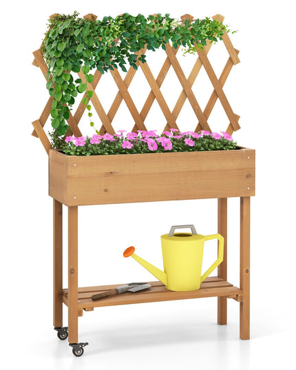 Giantex Raised Garden Bed on Wheels, Rolling Planter Boxes with Trelli