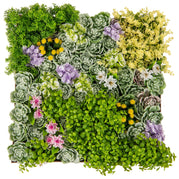 Colorful Succulents