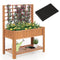 Raised Bed with Trellis