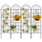 Garden Trellis