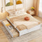 Storage Bed
