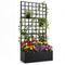 Raised Bed with Trellis