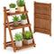 Step Ladder