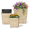 Tall Planters