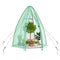 Greenhouse