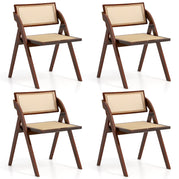 2 / Brown