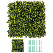 Eucalyptus