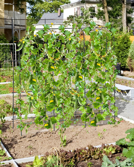 Giantex Garden Arched Trellis for Climbing Plants, 71” x 71” U-Shaped Tall Cucumber Trellis for Raised Garden Bed