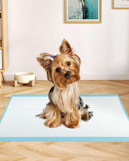 Giantex 60 x 43 cm Puppy Training Pads for Small Dogs