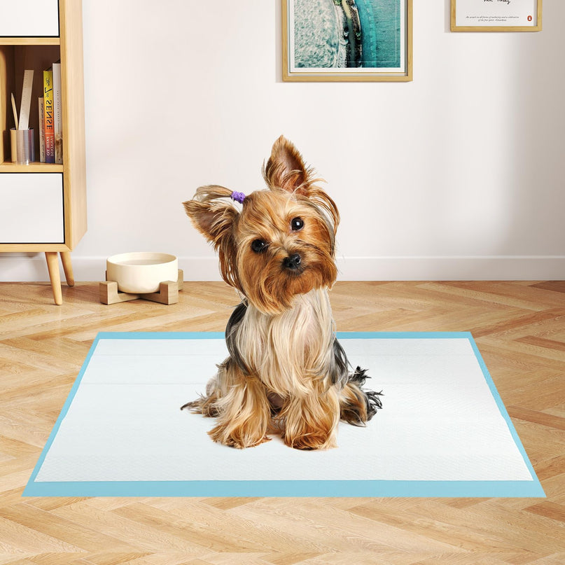 Giantex 60 x 43 cm Puppy Training Pads for Small Dogs