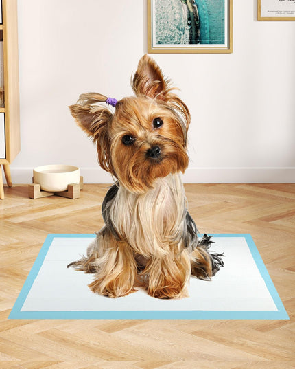 Giantex 300 Count 45 x 33 cm Puppy Training Pads for Small Dogs & Puppies